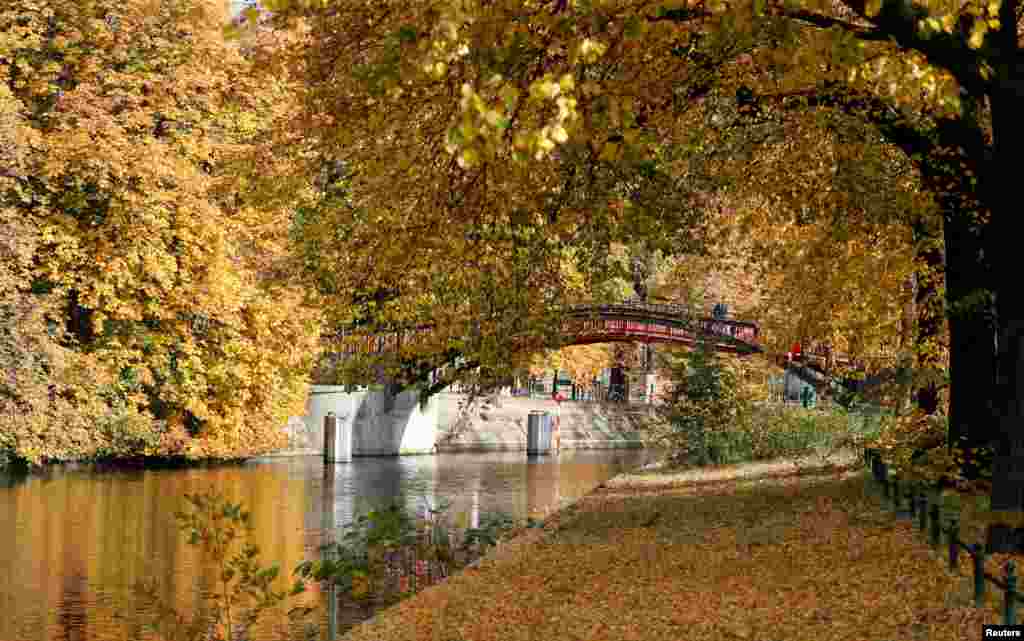 Autumnal trees are seen at the embankment of the Spree river in Berlin, Germany.