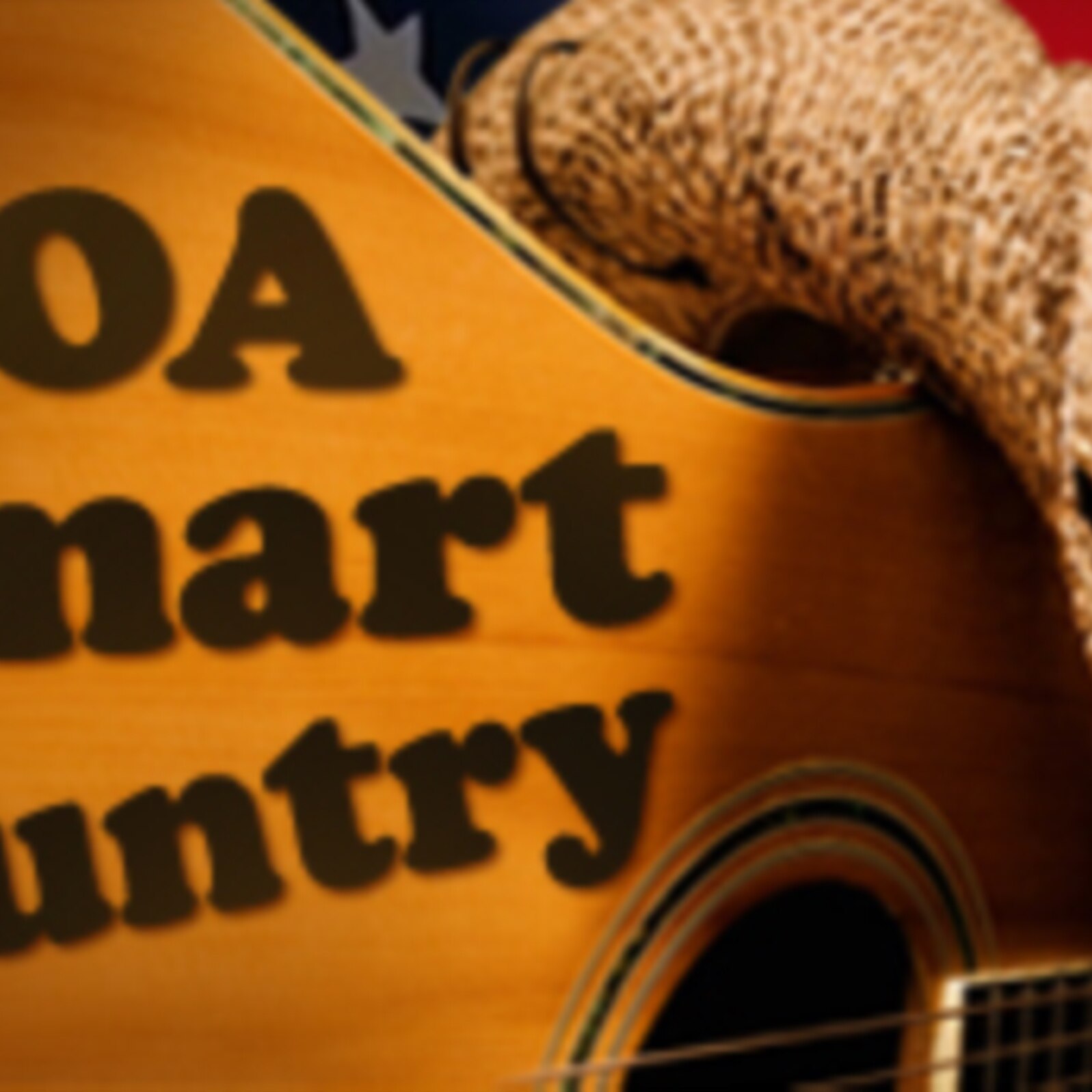 VOA Smart Country