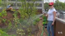 Floating Barge on New York River Grows Crops