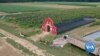 New Yorker Turns Farm into Amusement Park Amid Pandemic 