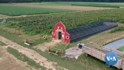 New Yorker Turns Farm into Amusement Park Amid Pandemic 