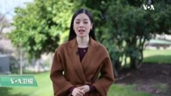 د ډیوه ریډیو د روانو چارو خپرونه په ټي وي