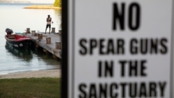 A sign warns against using spear guns in the Oracabessa Bay Fish Sanctuary in Oracabessa Bay, Jamaica, Feb. 13, 2019.