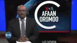 Tamsaasa Guyaadhaa Guyyaa