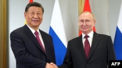 俄罗斯总统普京在上合组织成员国领导人峰会期间，在阿斯塔纳与中国国家主席习近平会面。（俄罗斯国家通讯社斯普特尼克）