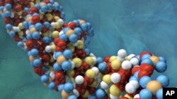 Научници открија друг можен предок на човекот