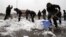 Chinese paramilitary police shovel snow accumulated on Tiananmen Square in Beijing, November 4, 2012.