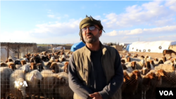 Hozen Mihemed explains the plight of livestock owners in Derik, Syria. 