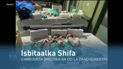 Qubanaha VOA