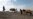 Afghan IDPs Suffering Due to Government Inaction, Donor Fatigue