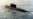 India Gives Submarine to Myanmar Amid Growing Chinese Footprint in Indian Ocean Countries