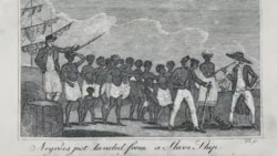 Seenaa Daldala Garbaa Irraa Amma Tokko