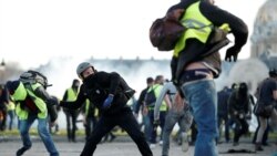 Gillets Jaunes (Yellow Vests) Movement 