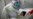 First Probable Person-to-Person Bird Flu Case Reported in China
