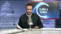 Caawa iyo Dunida