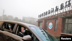 生态健康联盟主席彼得·达萨克（车内前坐者）2021年2月3日与世卫组织调查团成员抵达武汉病毒研究所。（路透社）