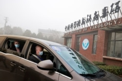 FILE - Peter Daszak and Thea Fischer, members of the World Health Organization team tasked with investigating the origins of the coronavirus disease, sit in a car arriving at Wuhan Institute of Virology in Wuhan, China, Feb. 2, 2021.