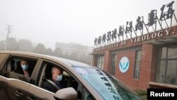 FILE - Peter Daszak and Thea Fischer, members of the World Health Organization team tasked with investigating the origins of the coronavirus disease, sit in a car arriving at Wuhan Institute of Virology in Wuhan, China, Feb. 2, 2021.