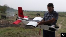 FILE - A mahout walks past with an elephant used for tourist rides as Remo Peduzzi, Managing Director, Research Drones LLC Switzerland prepares to fly an unmanned aircraft or drone at the Kaziranga National Park at Kaziranga in Assam state, India, April 8, 2013. 