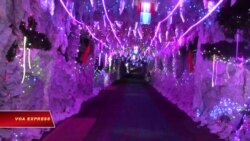 Hang đá đón Giáng sinh ở Đồng Nai