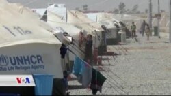 Gel Dibêje DAIŞ li Musil Bêhêz Bû ye Û Çekdarên Biyanî Tevlî Nabin