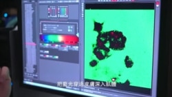 美國專訊 (粵語) 815 (2019年12月14日)