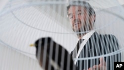 French Ambassador to the United Arab Emirates, Xavier Chatel gestures towards Juji, a rescued yellow-beaked mynah carried into the United Arab Emirates by a fleeing Afghan refugee, in Abu Dhabi, United Arab Emirates, Oct. 10, 2021. 