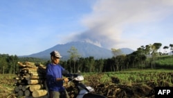 Seorang warga mengendarai sepeda motornya sambil membawa kayu bakar, melewati wilayah Banyuwangi dengan latar belakang gunung Raung yang mengepulkan asap dan mengeluarkan abu vulkanik (21/7). 