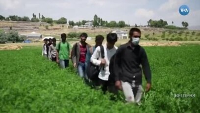 Turkiyada afg'onistonlik qochoqlar