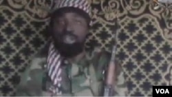 Bidiyon da kungiyar Boko Haram ta fitar kwana kwanan nan inda ta yi ikirarin itace ta kai hari kan sanasnin Sojojin Mayakan Sama kusa da Maiduguri ya kunshi wasu hotuna masu tada hankali da za'a sa a ma'adanin hotuna.