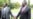 Mugabe Making Last Ditch Efforts to Revive Constitutional Talks