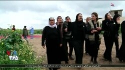 اجساد صدها تن از اعضای اقلیت ایزدی در عراق از یک گور دسته جمعی خارج شد