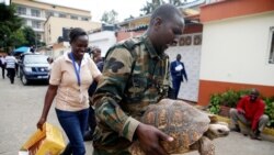 Report: Illicit Trade and Crime Linked to Extremism in East Africa