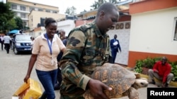 Wani Jami'in kula da gandun daji a kasar Kenya yana rike da kunkuru.