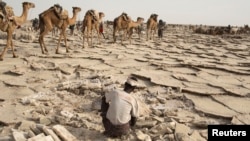 A worker extracts salt from the desert in the Danakil Depression, northern Ethiopia, April 22, 2013.