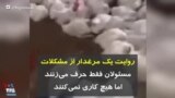روایت یک مرغدار از مشکلات: مسئولان فقط حرف می‌زنند اما هیچ کاری نمی‌کنند