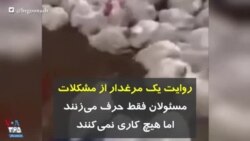 روایت یک مرغدار از مشکلات: مسئولان فقط حرف می‌زنند اما هیچ کاری نمی‌کنند