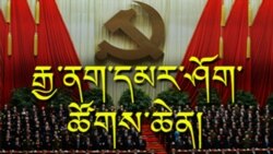 རྒྱལ་སྤྱིའི་བོད་ཀྱི་གསོ་བ་རིག་པའི་ཚོགས་ཆེན་ཐེངས་གཉིས་པ།
