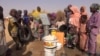 Niger: situation humanitaire précaire dans la région de Diffa