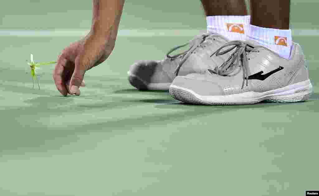 A ball boy tries to catch a grasshopper on the court during a break in the quarter-final match between Caroline Wozniacki of Denmark and Timea Bacsinszky of Switzerland at the Wuhan Open tennis tournament in Wuhan, Hubei province, China.