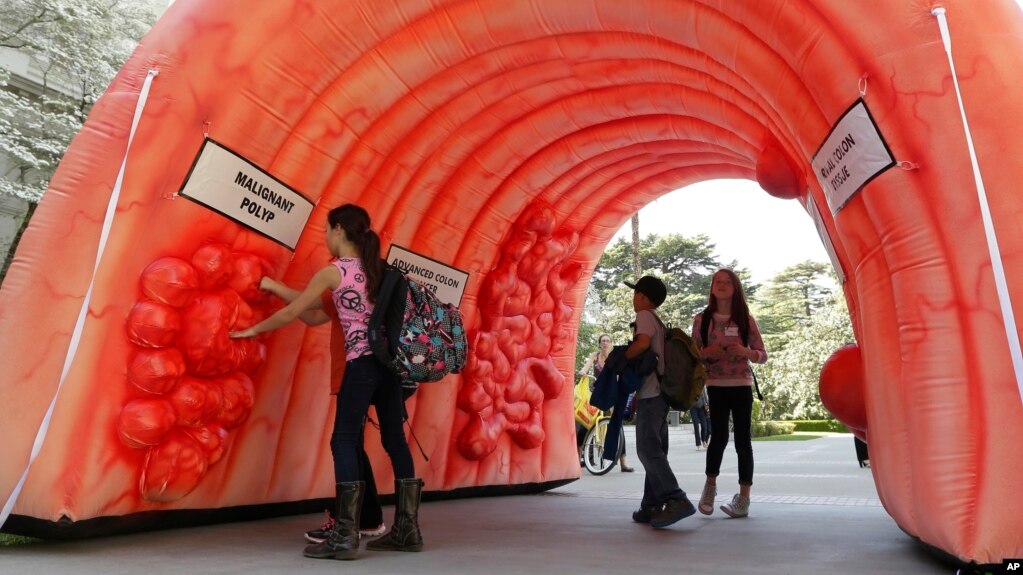 Exhibición de un colon inflable que muestra cómo se desarrollan los pólipos y cómo pueden volverse cancerosos.