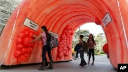 Exhibición de un colon inflable que muestra cómo se desarrollan los pólipos y cómo pueden volverse cancerosos.