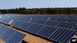 These are some of the 206,000 polycrystalline solar panels that make up the 540-acre site solar project in Lamar County near Sumrall, Miss., Wednesday, March 7, 2018. (AP Photo/Rogelio V. Solis)