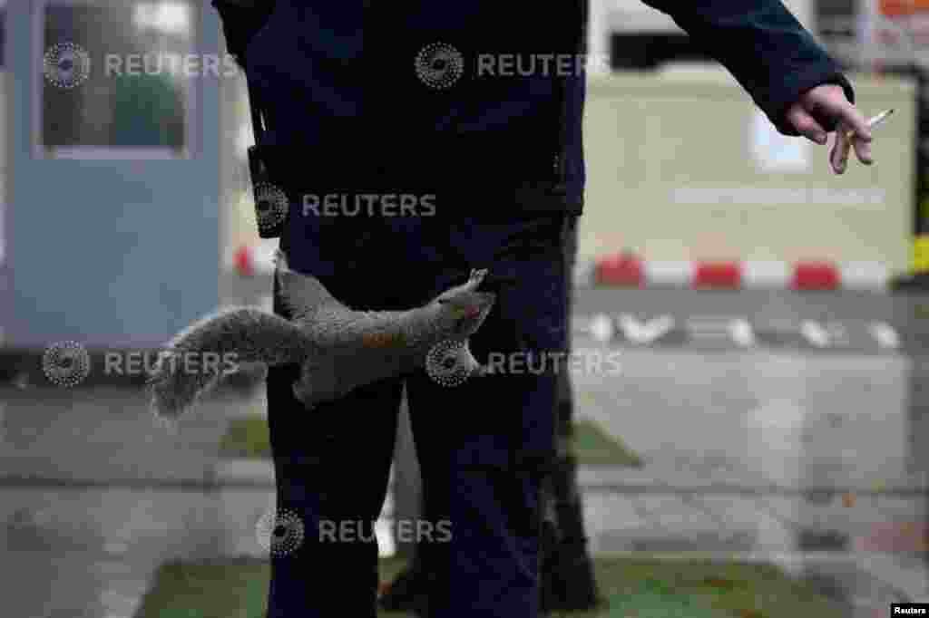 A squirrel is trying to steal a cigarette from Tony Bousell, who is on a break from work, near the Southbank area of London.