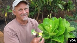 Steve Perlman, pakar botani di Hawaii, AS (foto: dok).