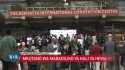 Kenya: Ahadi za ufadhili wa fedha za kukabili athari za mabadiliko ya hali ya hewa zinazidi kutolewa