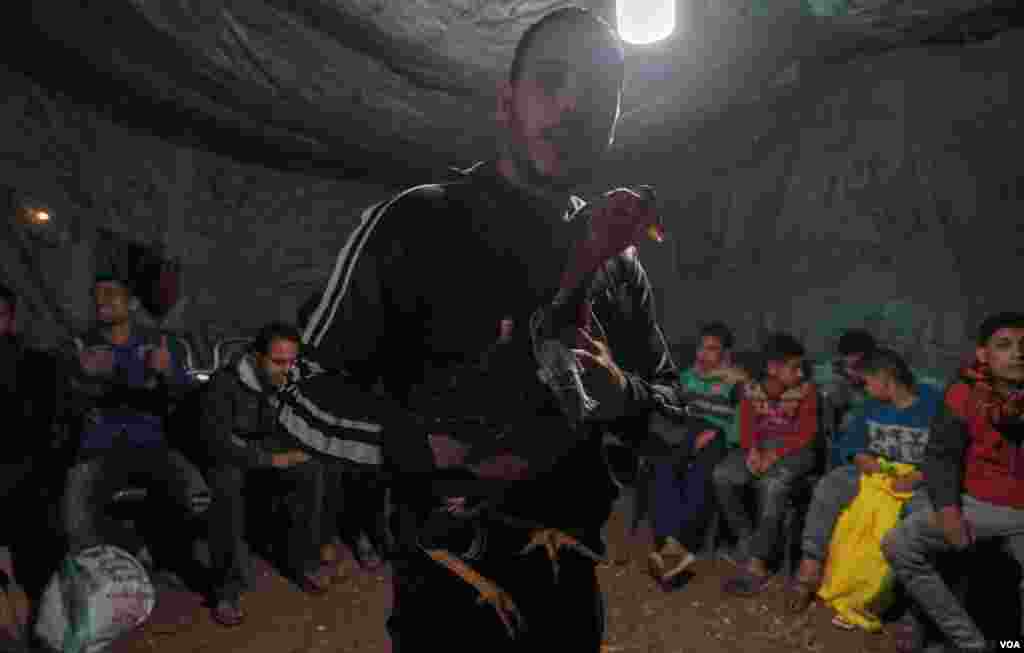 Dunyoning aksariyat mamlakatlarida hayvonlarni urushtirish qonun bilan taqiqlangan. Xususan, xo'roz urushtirish ham. Biroq bu jangning ashaddiy muxlislari choychaqa ishlab olish ilinjida chekka hududlarda an'anani davom ettirmoqda. Bunday tadbirlarga Misrda ham guvoh bo'lish mumkin.&nbsp;