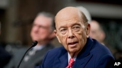 Commerce Secretary-designate Wilbur Ross testifies on Capitol Hill in Washington, Jan. 18, 2017, at his confirmation hearing before the Senate Commerce Committee. 
