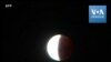 Éclipse lunaire à Sydney, en Australie