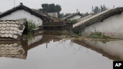 Nhà cửa bị ngập trong nước lũ ở thành phố Anju trong tỉnh Phyongan ở Bắc Triều Tiên, ngày 30/7/2012